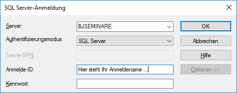 Der Anmelde-Dialog beim ersten Datenzugriff